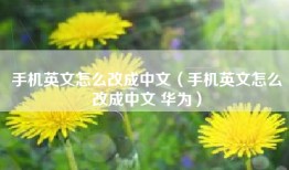 手机英文怎么改成中文（手机英文怎么改成中文 华为）