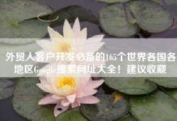 外贸人客户开发必备的165个世界各国各地区Google搜索网址大全！建议收藏
