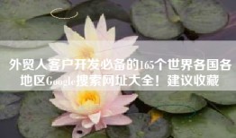 外贸人客户开发必备的165个世界各国各地区Google搜索网址大全！建议收藏