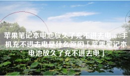 苹果笔记本电池放久了充不进去电vivo手机充不进去电是什么原因「苹果笔记本电池放久了充不进去电」