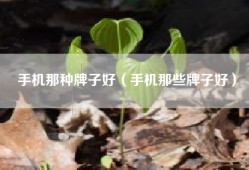 手机那种牌子好（手机那些牌子好）
