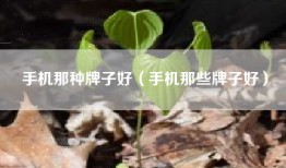 手机那种牌子好（手机那些牌子好）