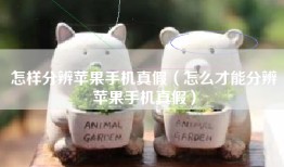 怎样分辨苹果手机真假（怎么才能分辨苹果手机真假）