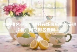 网站排名查询，提升在线可见性的关键步骤，网站排名查询alexa
