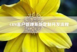 CRM客户管理系统定制开发流程