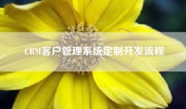 CRM客户管理系统定制开发流程