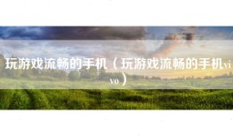 玩游戏流畅的手机（玩游戏流畅的手机vivo）