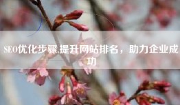 SEO优化步骤,提升网站排名，助力企业成功