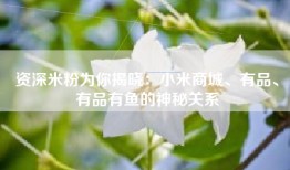 资深米粉为你揭晓：小米商城、有品、有品有鱼的神秘关系