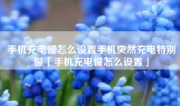 手机充电慢怎么设置手机突然充电特别慢「手机充电慢怎么设置」