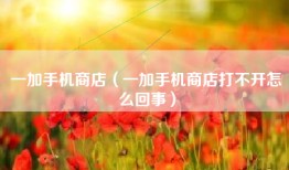 一加手机商店（一加手机商店打不开怎么回事）