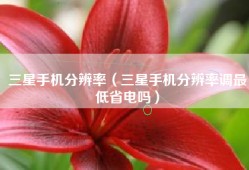 三星手机分辨率（三星手机分辨率调最低省电吗）