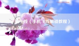 手机飞线（手机飞线解锁教程）
