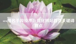 seo排名手段技术：优化网站首页关键词要点