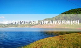 深圳文网文证办理,办理流程及所需材料