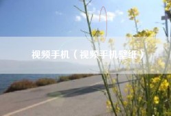视频手机（视频手机壁纸）