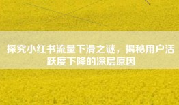 探究小红书流量下滑之谜，揭秘用户活跃度下降的深层原因