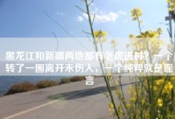 黑龙江和新疆两地都有老虎进村？一个转了一圈离开未伤人，一个纯粹就是谣言