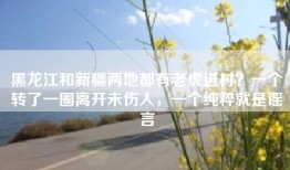 黑龙江和新疆两地都有老虎进村？一个转了一圈离开未伤人，一个纯粹就是谣言