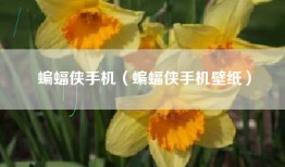 蝙蝠侠手机（蝙蝠侠手机壁纸）