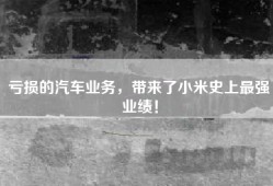 亏损的汽车业务，带来了小米史上最强业绩！