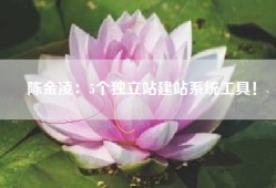 陈金凌：5个独立站建站系统工具！