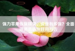 强力苹果恢复精灵，究竟有多强？全面评测告诉你好用与否