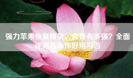 强力苹果恢复精灵，究竟有多强？全面评测告诉你好用与否
