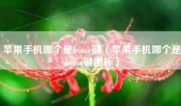 苹果手机哪个是home键（苹果手机哪个是home键图标）
