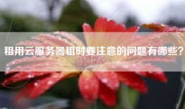租用云服务器租时要注意的问题有哪些？