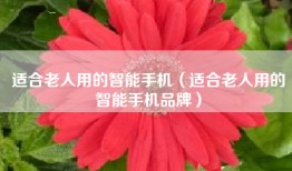 适合老人用的智能手机（适合老人用的智能手机品牌）