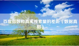 百度指数和真实搜索量的差距（数据真相）
