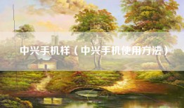 中兴手机样（中兴手机使用方法）