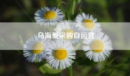乌海爱采购自运营