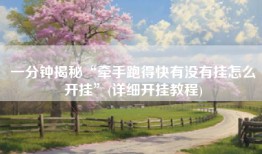 一分钟揭秘“牵手跑得快有没有挂怎么开挂”(详细开挂教程)