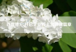 百度推广,开启企业线上营销新篇章