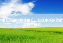 潜江关键词优化推广，低成本高效营销策略全解析