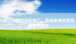 潜江关键词优化推广，低成本高效营销策略全解析