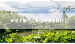 关键字排名（关键词排名优化）