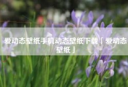 爱动态壁纸手机动态壁纸下载「爱动态壁纸」