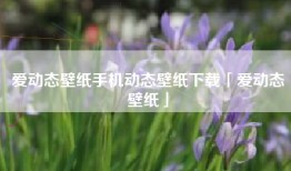爱动态壁纸手机动态壁纸下载「爱动态壁纸」