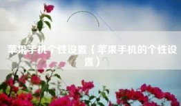 苹果手机个性设置（苹果手机的个性设置）