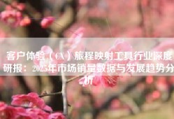 客户体验（CX）旅程映射工具行业深度研报：2025年市场销量数据与发展趋势分析