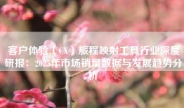 客户体验（CX）旅程映射工具行业深度研报：2025年市场销量数据与发展趋势分析