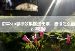 南平SEO目标效果遥遥无期，应该怎么面对客户？