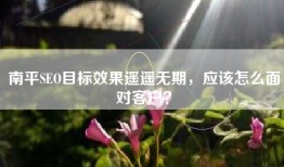 南平SEO目标效果遥遥无期，应该怎么面对客户？