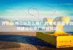 外贸b2b独立站怎么推广,跨境电商新手如何建设和推广外贸网站