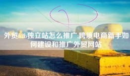 外贸b2b独立站怎么推广,跨境电商新手如何建设和推广外贸网站