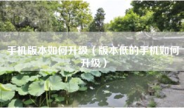 手机版本如何升级（版本低的手机如何升级）