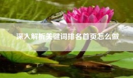 深入解析关键词排名首页怎么做